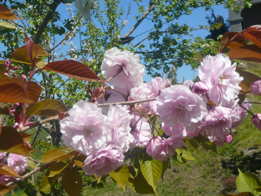 Country house Arriola Txiki