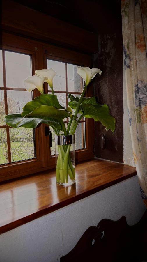 Country house Arriola Txiki Itziar